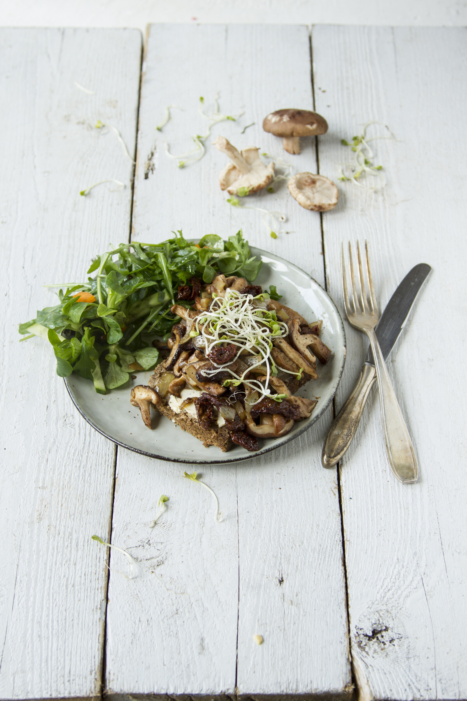 lunch met haver- of roggebrood, paddenstoelen en salade, een feestmaal voor je darmbacterien