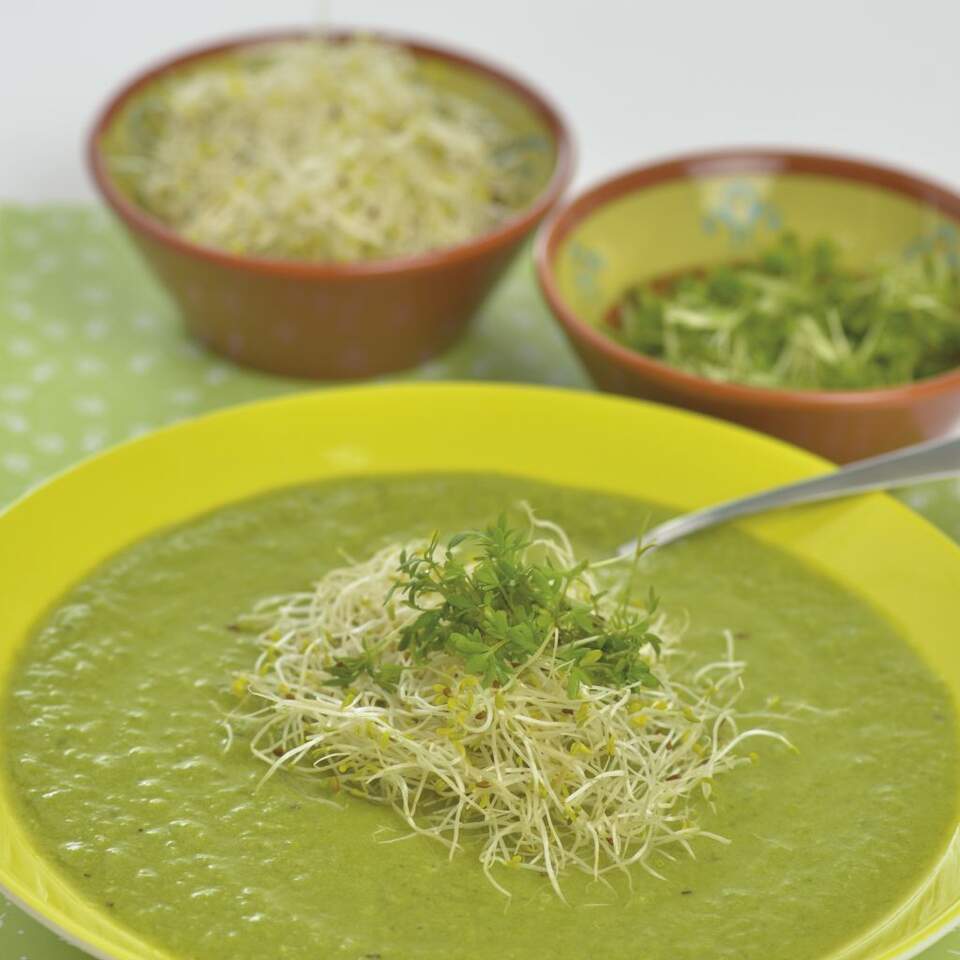 Hartverwarmend groen soepje